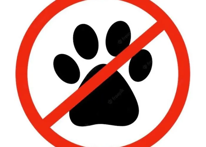 Holidayhomepl Slavia New 816 Z Balkonem I Widokiem Na Morze * Miedzyzdroje